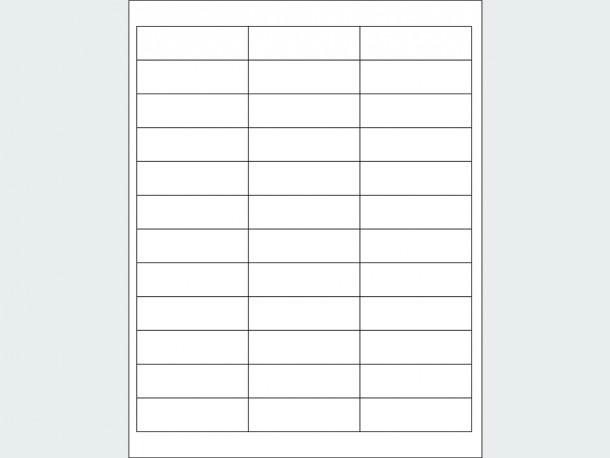Laser Labels - 2 11/16"W x 13/16"H