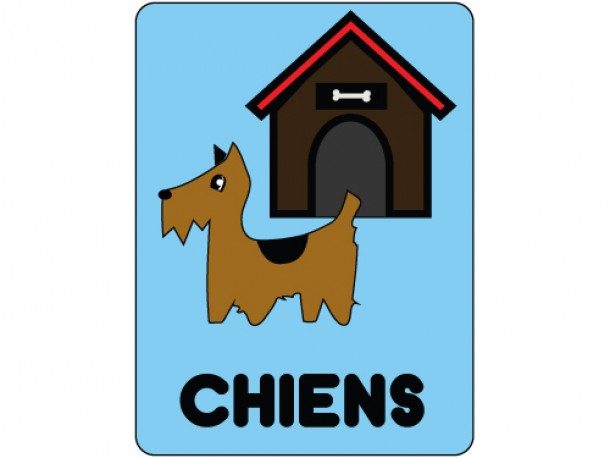 Classification Labels - Dogs/Chiens
