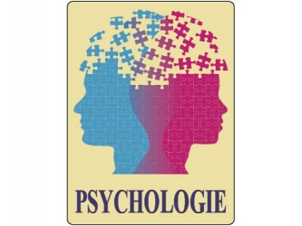 Classification Labels - Psychology/Psychologie