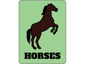 Classification Labels - Horses/Chevaux
