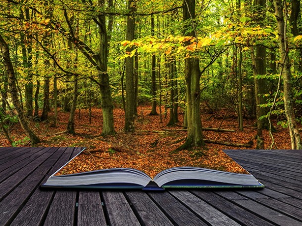 Once upon a time in the woods - Self-Adhesive Vinyl Poster