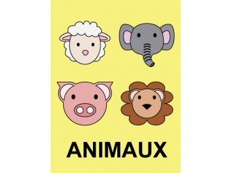Classification Labels - Animaux