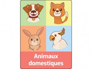 Étiquettes de classification - Animaux domestiques