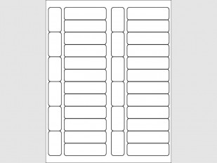 Spine and Circulation Laser Labels