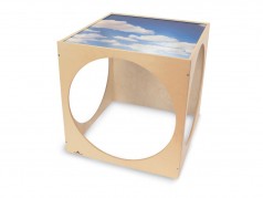 Cube de jeu avec dessus en acrylique de Whitney Brothers