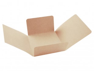 Four-Flap Enclosures