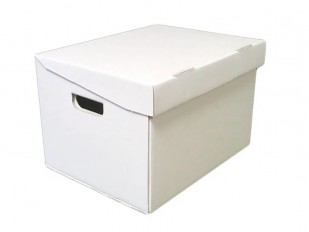File Storage Box