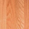 Golden Oak